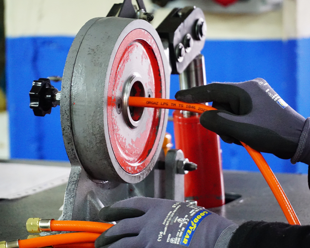 Tesis içi